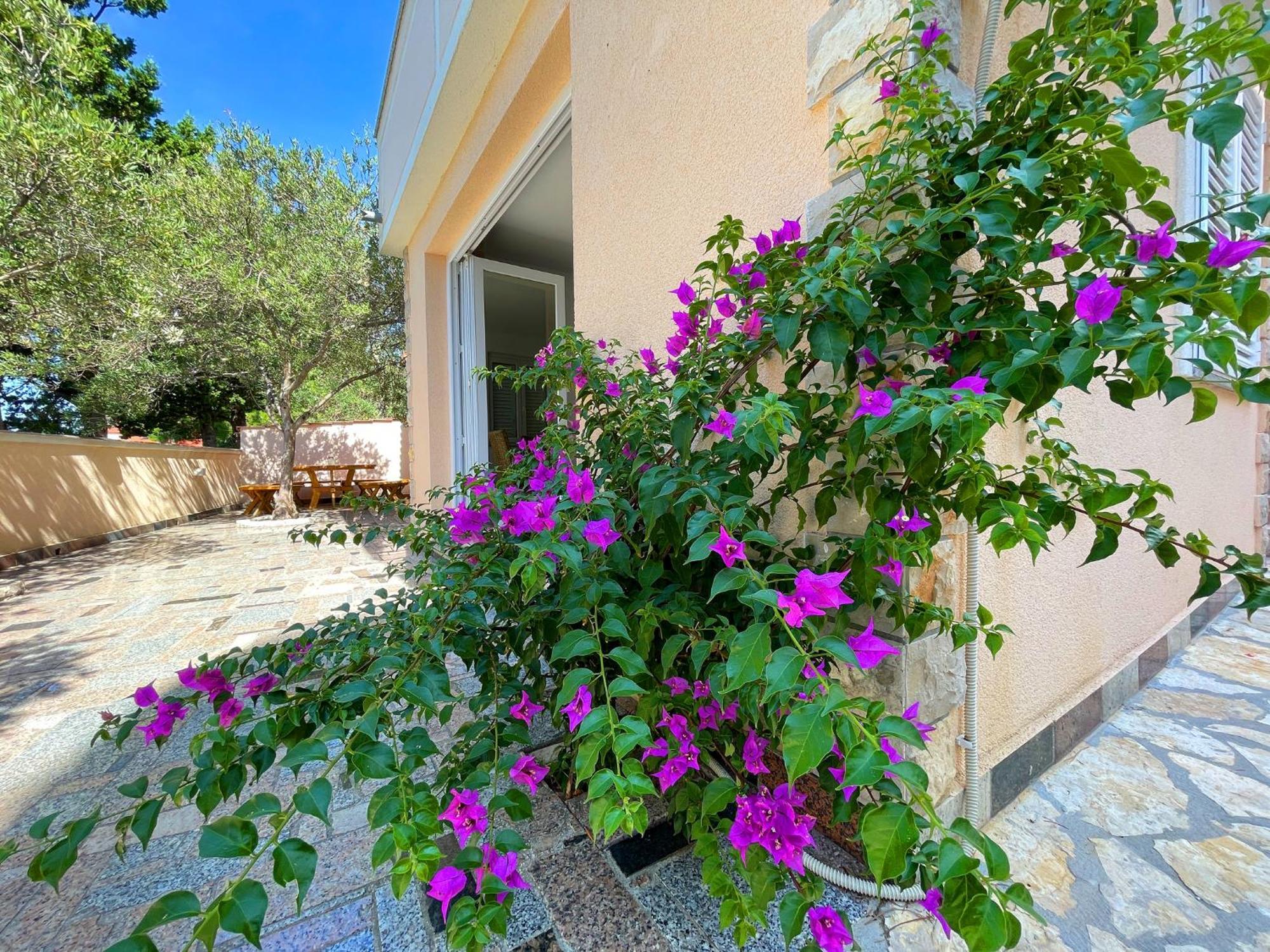 Villa Olivija-Direkt Am Strand! ستارا نوفالجا المظهر الخارجي الصورة